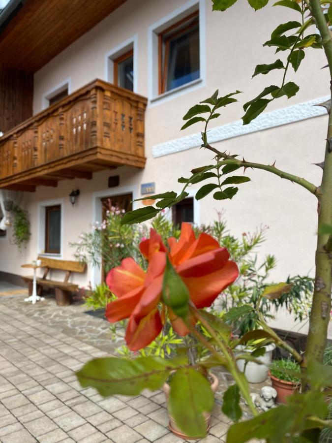 Guesthouse Sabine - Pr' Skminc Bohinjska Bela Zewnętrze zdjęcie