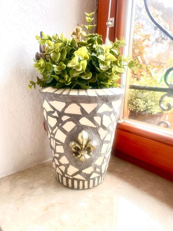 Guesthouse Sabine - Pr' Skminc Bohinjska Bela Zewnętrze zdjęcie