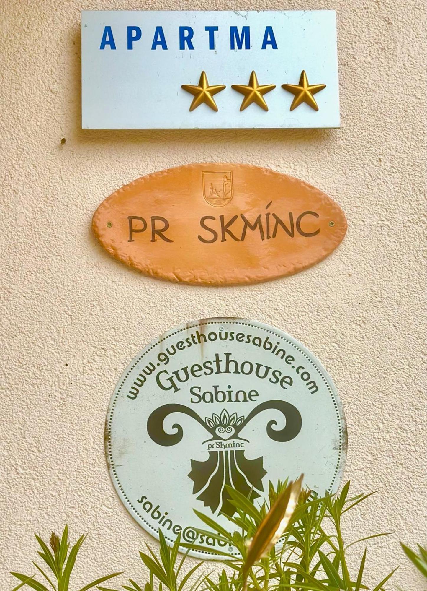 Guesthouse Sabine - Pr' Skminc Bohinjska Bela Zewnętrze zdjęcie